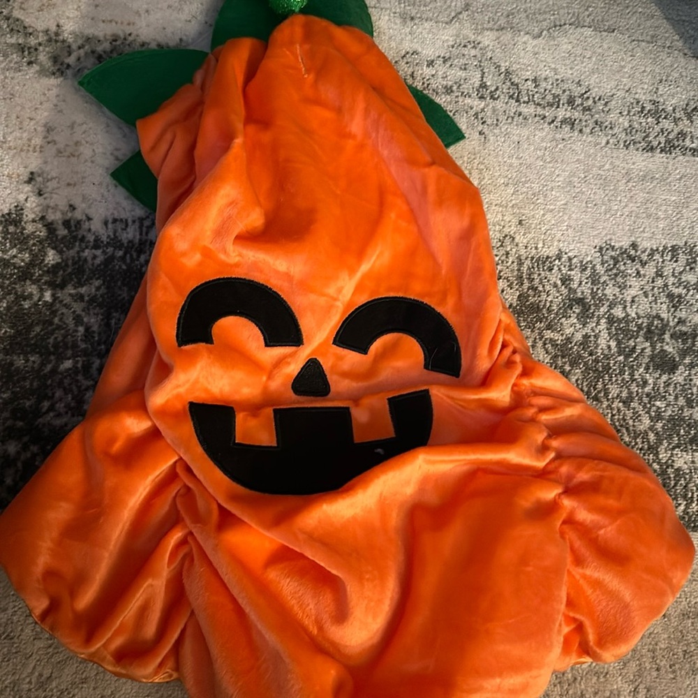 Dog new costume pumpkin Large